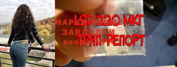 прущие крисы Балахна