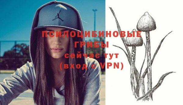 apvp Володарск